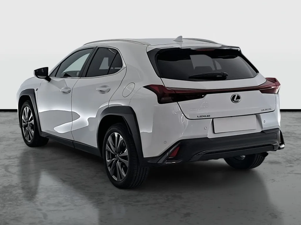 Lexus UX 250h, Foto 4 von 25