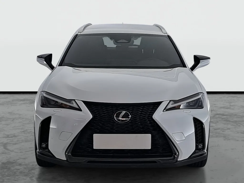 Lexus UX 250h, Foto 6 von 25