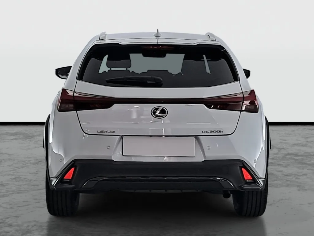 Lexus UX 250h, Foto 9 von 25