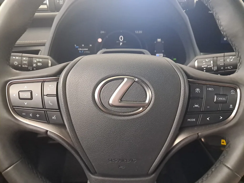Lexus UX 250h, Foto 21 von 25