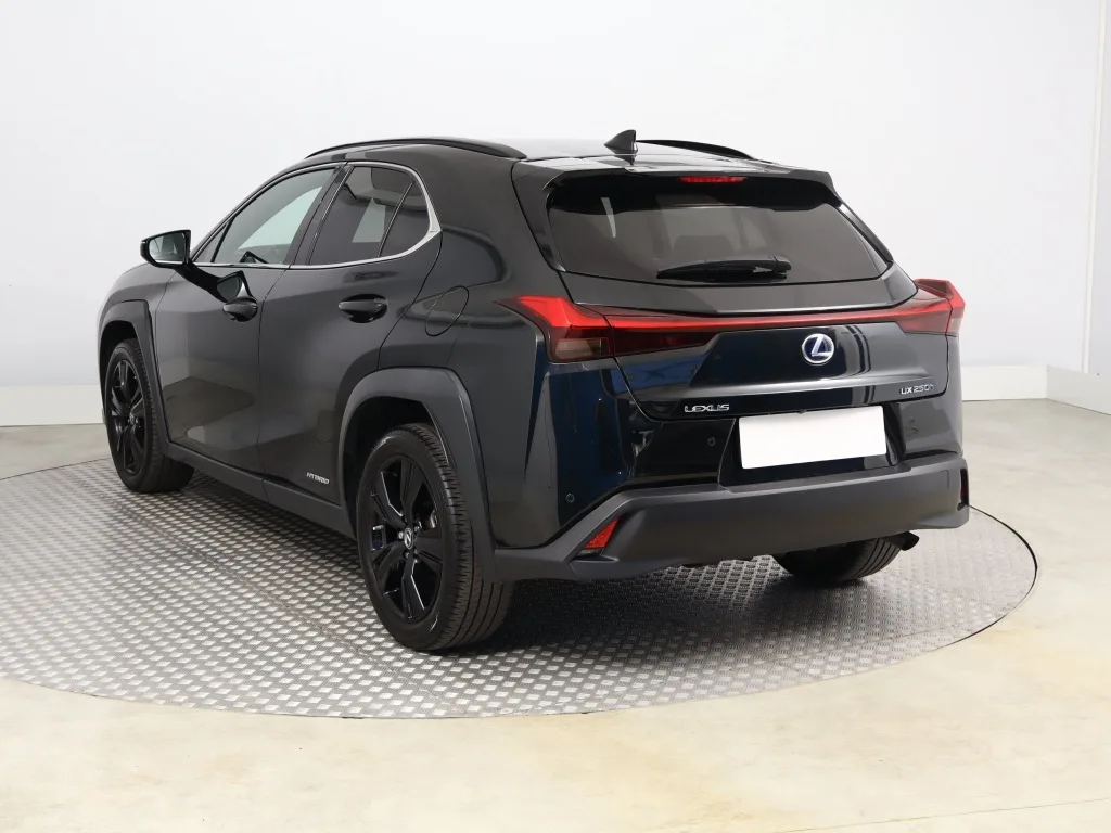 Lexus UX 250h E-Four, Foto 4 von 23