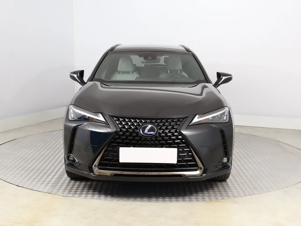 Lexus UX 250h E-Four, Foto 6 von 23