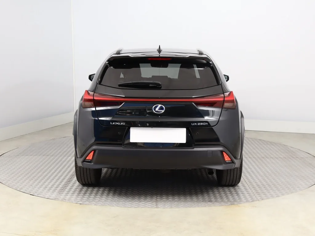 Lexus UX 250h E-Four, Foto 9 von 23