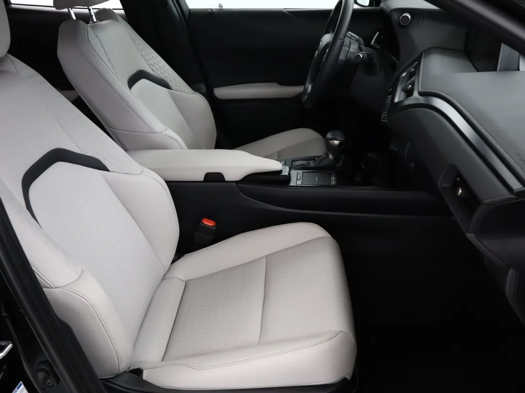 Lexus UX 250h E-Four, Foto 11 von 23