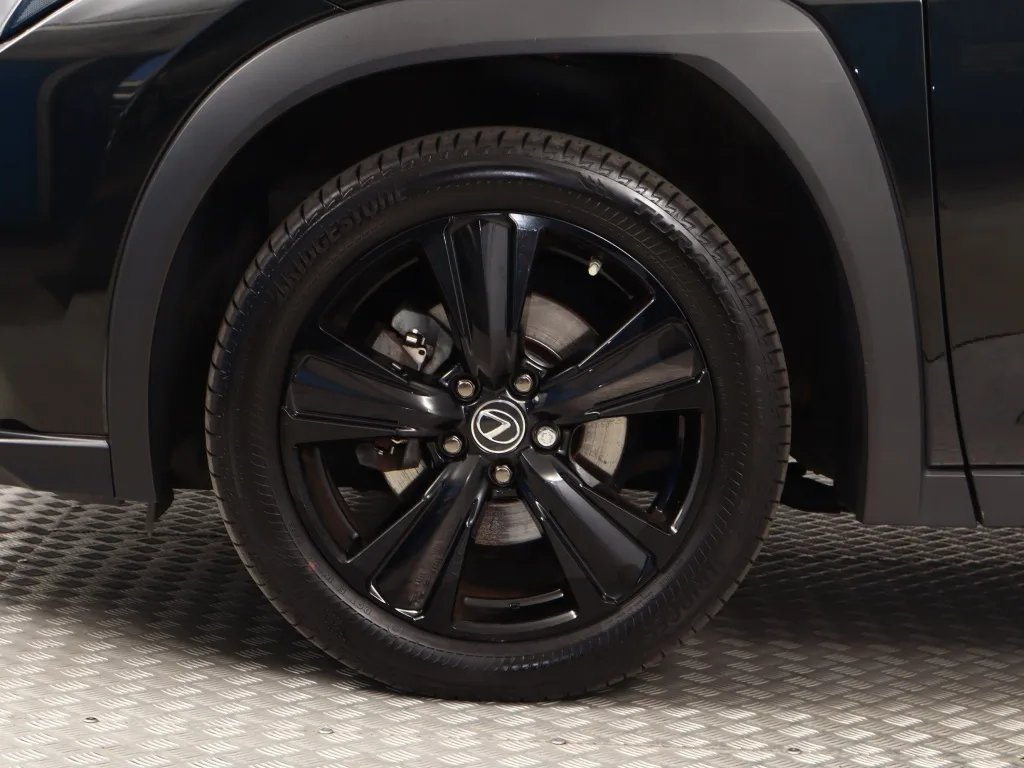 Lexus UX 250h E-Four, Foto 18 von 23