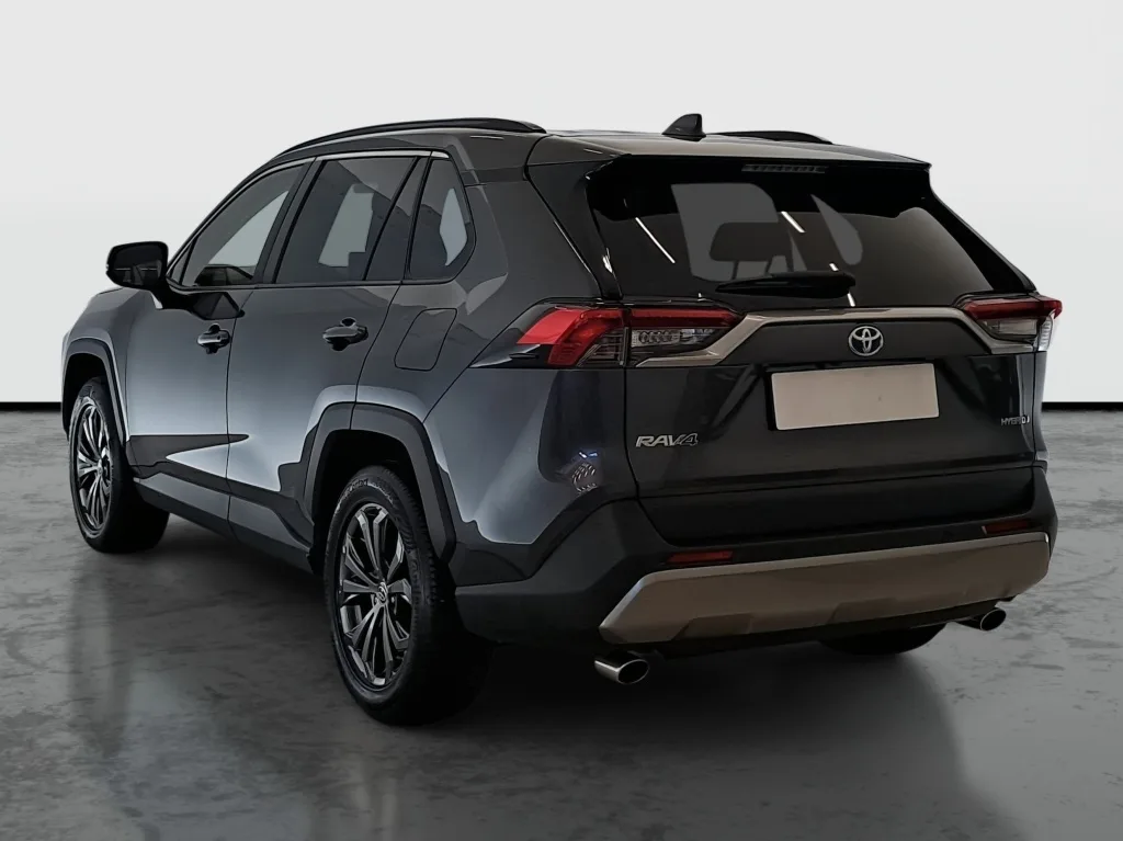 Toyota RAV4 2.5 Hybrid AWD-i, Foto 4 von 21