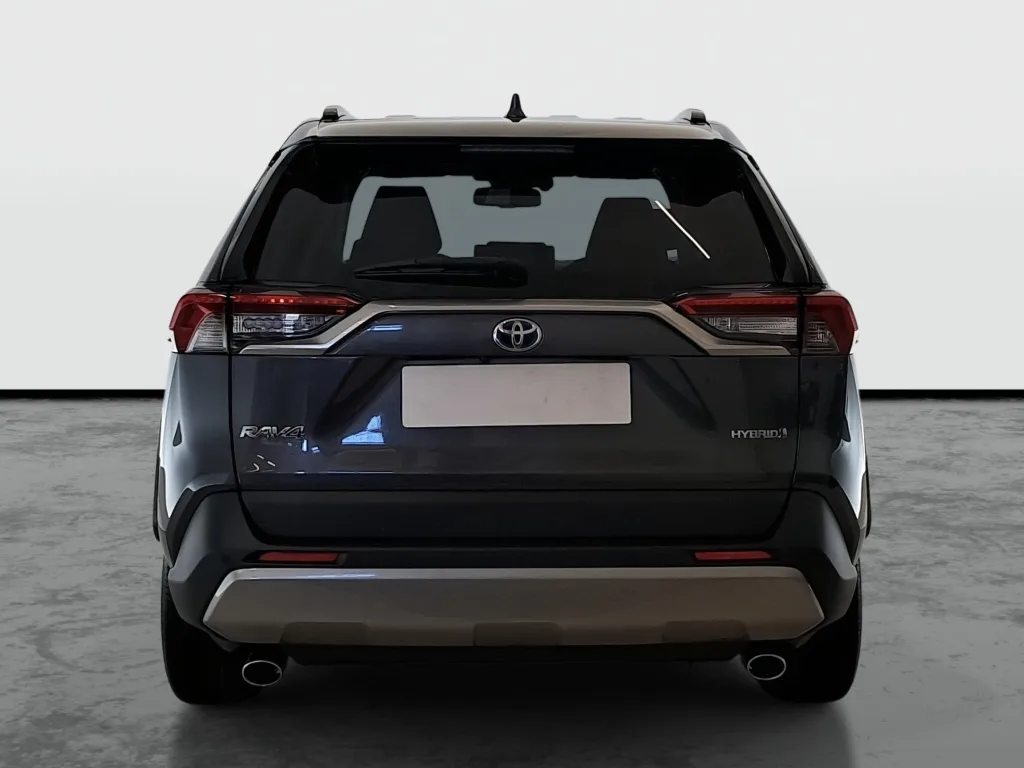 Toyota RAV4 2.5 Hybrid AWD-i, Foto 9 von 21